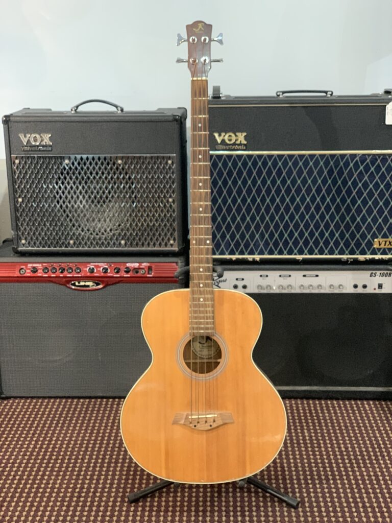 Acoustic / Electric Bass