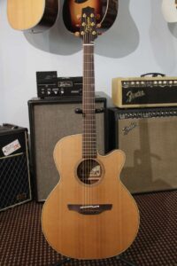 Takamine EAN40C Acoustic/Electric