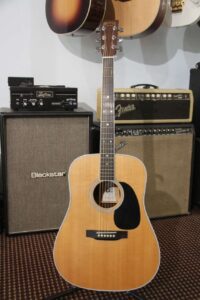 Martin 50th anniversary D-35