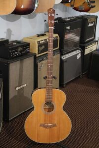 J. Reynolds Acoustic/Electric Bass