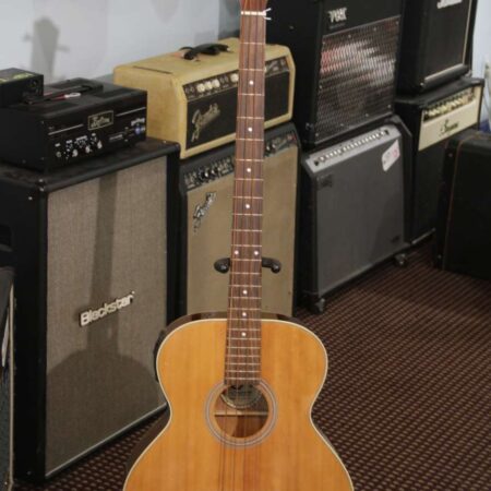 J. Reynolds Acoustic/Electric Bass