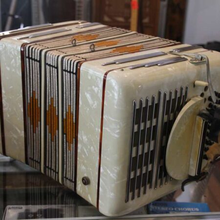 Vintage TED Accordion with Case