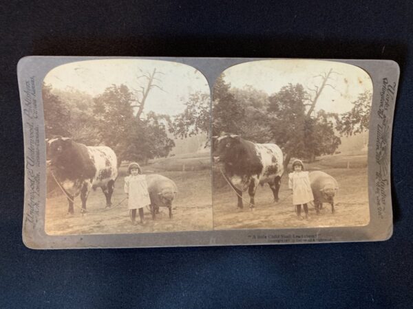 Vintage Stereoscope and Stereograph Cards - Image 6